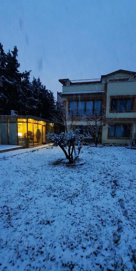 Doga Villa Guest House Buyukcekmece Exterior photo